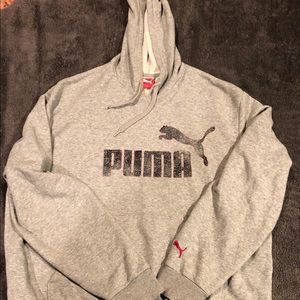 Puma Elevated Hoodie.